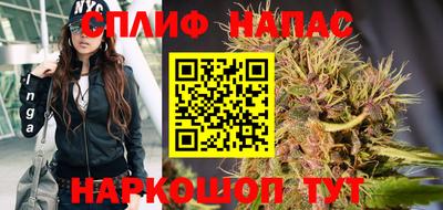 гидра Донецк