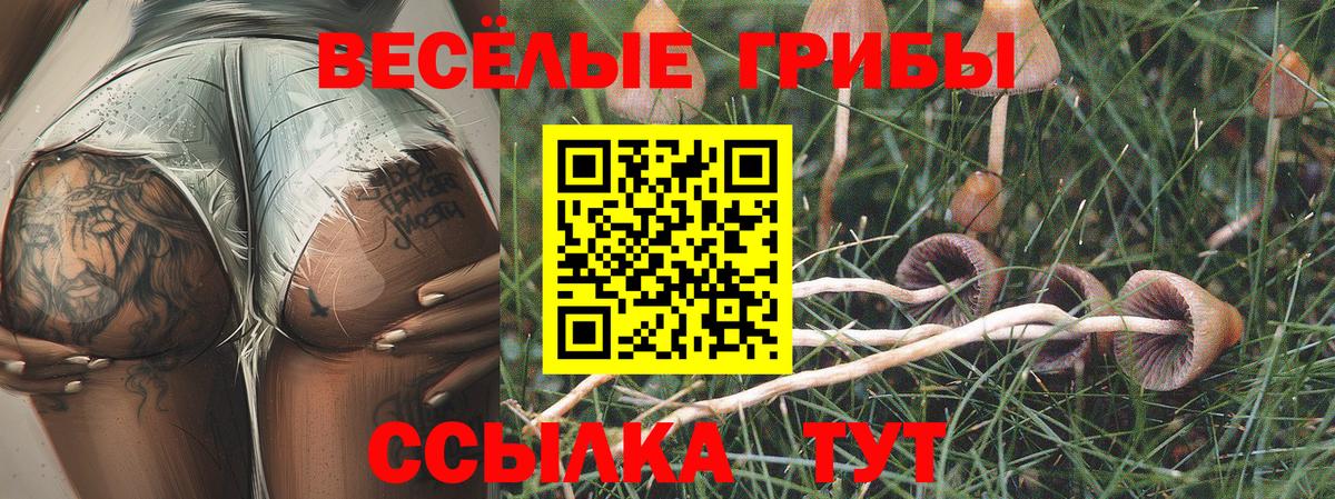 Галлюциногенные грибы ЛСД  Вход с VPN  Новотроицк 